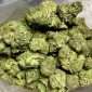 Pink Tuna OG cannabis flower