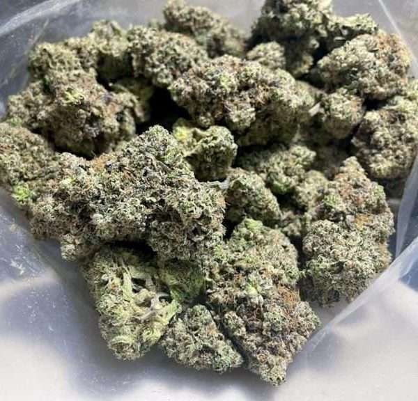 Space Queen preroll