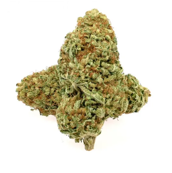 Tuna Kush AAAA cannabis flower